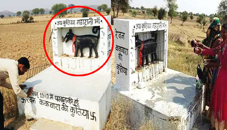 आखिर क्यों इस मंदिर में की जाती है कुतिया की पूजा, सबकुछ बयाँ करती है यह कहानी आखिर क्यों इस मंदिर में की जाती है कुतिया की पूजा, सबकुछ बयाँ करती है यह कहानी