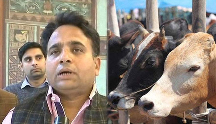 बुलंदशहर हिंसा- 'केवल दो लोगों की मौत की चिंता है, 21 गायों कि नहीं' : BJP विधायक