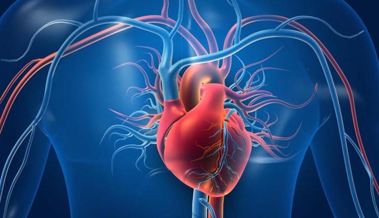 black beans,health benefits of black beans,Health tips,fitness tips