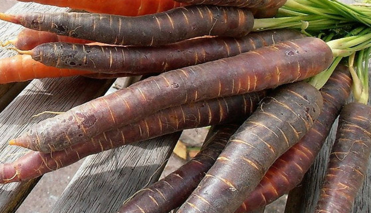 Amazing Health Benefits of Black Carrot - lifeberrys.com