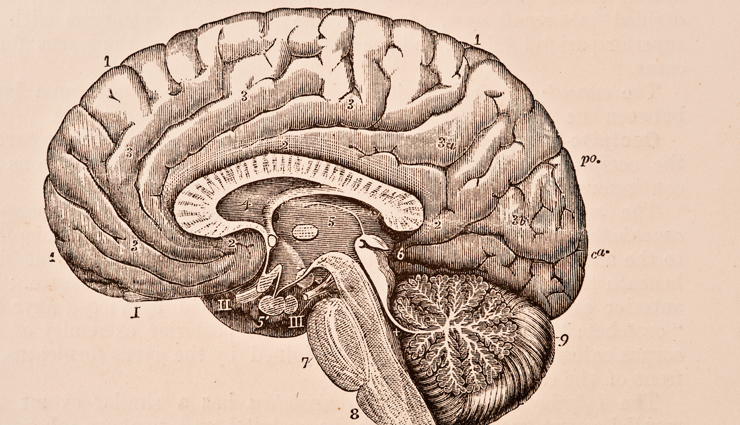 health benefits of drinking black coffee,black coffee,Health tips,fitness tips,health benefits