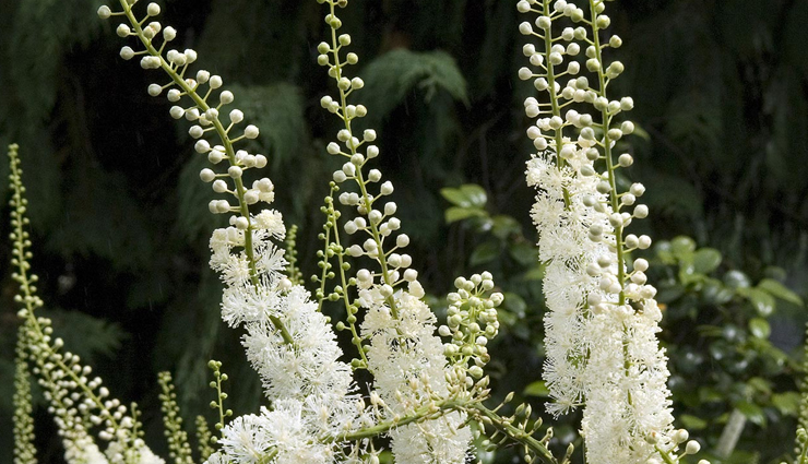 bipolar disorder,bipolar disorder treatment,bipolar disorder symptoms,bipolar disorder test,bipolar disorder definition,bipolar disorder treatment,bipolar disorder and alcohol,bipolar disorder assessment,bipolar disorder causes,bipolar disorder criteria,bipolar disorder case study,vitamin c bipolar disorder,hepatitis c bipolar disorder,bipolar disorder diagnosis,bipolar disorder depression,bipolar disorder disability,Health,Health tips