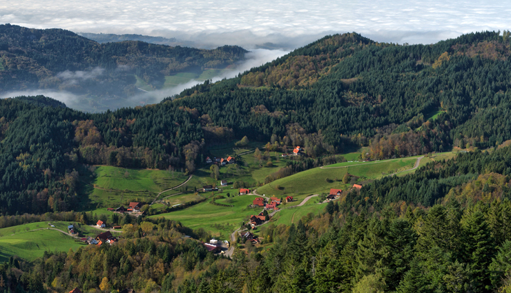 largest forests in the world,worlds biggest forests,top 10 largest forests,giant forests on earth,biggest woodland ecosystems,vast forested regions,earths grand forests,largest forested areas,forest biomes worldwide,expansive woodland landscapes
