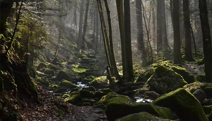 रोमांच का मजा लेना हैं तो ट्राई करें दुनिया की ये 9 सबसे बेहतरीन रोड ट्रिप Road trip,best road trip world wide