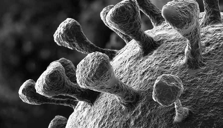 गाजियाबाद : ब्लैक फंगस के अब तक मिले 65 मरीज, एक की मौत 