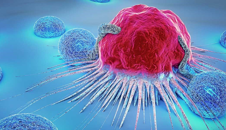 black grape,health benefits of black grape,Health tips,fitness tips