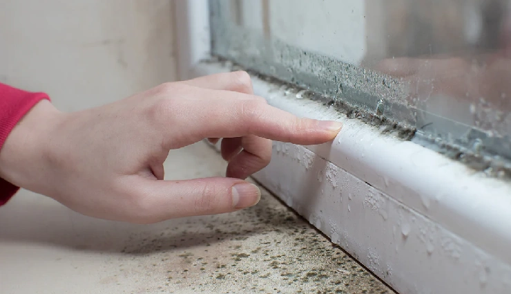 indoor air pollution,mold in home,effects of mold exposure,health risks of mold,airborne mold spores,mold and respiratory issues,mold in humid conditions,mold prevention tips,home ventilation and mold,causes of indoor mold,fungus in house,indoor air quality,mold on walls,home humidity problems