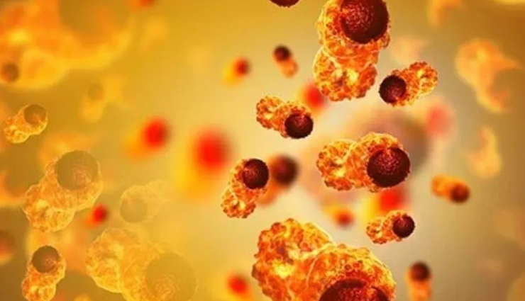 blackberries health benefits,benefits of eating blackberries,blackberries nutrition benefits,health benefits of blackberries fruit,amazing blackberry health benefits,blackberries for health and wellness,nutritional value of blackberries,blackberries and their health advantages,blackberry benefits for the body,why blackberries are healthy,antioxidants in blackberries,vitamins in blackberries,minerals in blackberries,dietary fiber in blackberries,polyphenols in blackberries,digestive health benefits of blackberries,cardiovascular benefits of blackberries,weight management with blackberries,skin benefits of blackberries,immune-boosting properties of blackberries