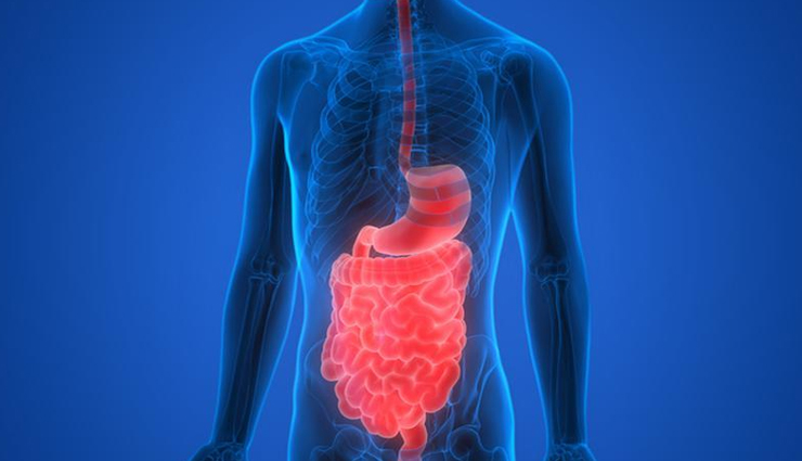 blackberry,health benefits of blackberry,Health tips,fitness tips