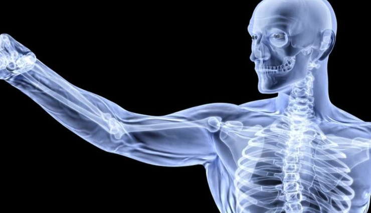 blackberry benefits for heart health,heart-healthy properties of blackberries,eating blackberries for a healthy heart,blackberries and cardiovascular health,benefits of consuming blackberries for the heart,blackberry nutrition for heart wellness,heart-protective effects of blackberry consumption,blackberries and heart disease prevention,incorporating blackberries into a heart-healthy diet,blackberry consumption and cardiac health,blackberry antioxidants and heart benefits,blackberries for heart-protective nutrition,heart health benefits of eating blackberries,blackberry polyphenols and cardiovascular wellness,blackberries and lowering heart disease risk,benefits of blackberry consumption for heart function,blackberries for maintaining a healthy heart,blackberry fiber and heart health advantages,heart benefits of including blackberries in your diet,blackberry nutrients for heart support