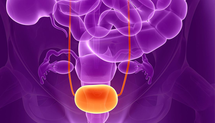 world no tobacco day,tobacco and cancer,tobacco-related diseases,tobacco use and cancer risk,smoking and cancer,tobacco control measures,tobacco cessation,public health and tobacco,tobacco-related mortality,tobacco-free initiatives