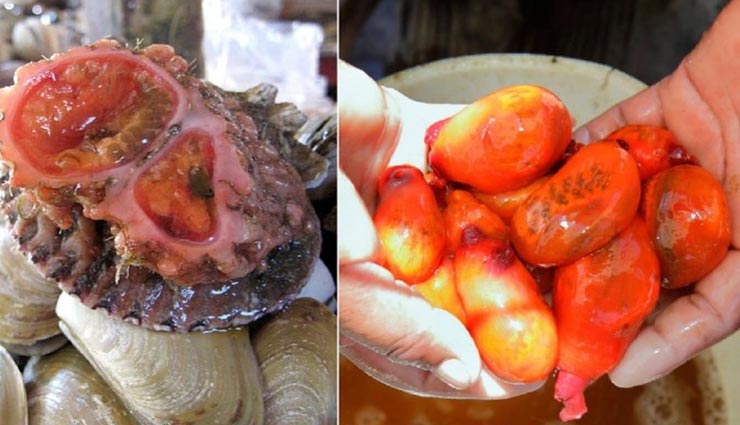 अनोखा पत्थर जिसे काटने पर ही निकलने लगता हैं खून 