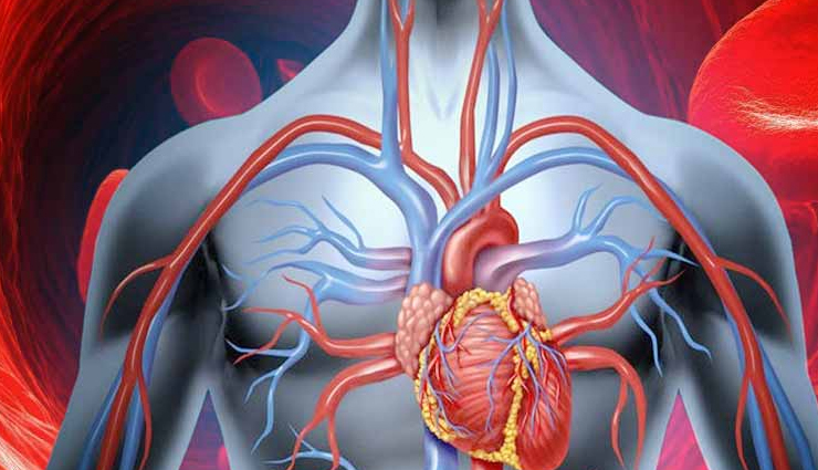 health benefits of apple cider vinegar,apple cider vinegar benefits,healthy living,Health tips