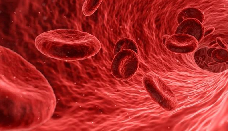 protein,protein side effects,protein powder side effects,protein powder side effects on health,healthy living,Health tips,Health