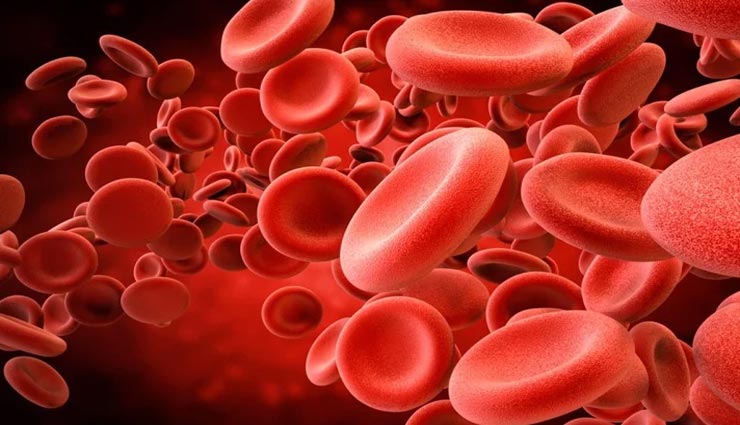 थकान का कारण बनती हैं खून की कमी, डाइट में शामिल करें ये 4 चीज