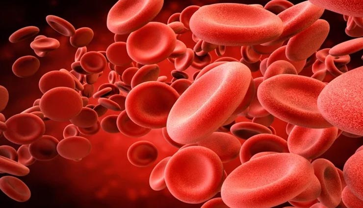 खून की कमी को पूरा करेंगे ये 4 आहार, करें अपनी दिनचर्या में शामिल