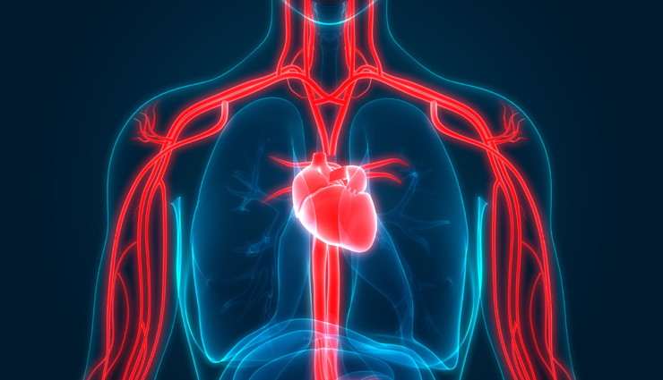 5 Food You Must Eat To Improve Your Blood Circulation