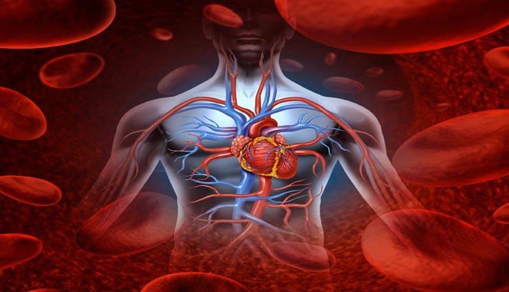 शरीर में आए ये बदलाव देते हैं बिगड़ते ब्लड सर्कुलेशन का संकेत