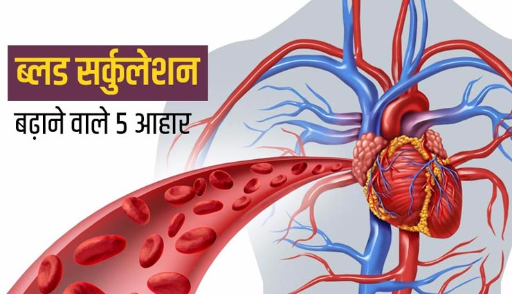 ये 5 आहार बनाए रखेंगे शरीर का ब्लड सर्कुलेशन संतुलित 