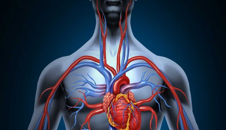 taro root,taro root benefits,arbi benefits,arbi benefits for skin,arbi benefits for hair,arbi benefits for health,taro root health benefits,health benefits