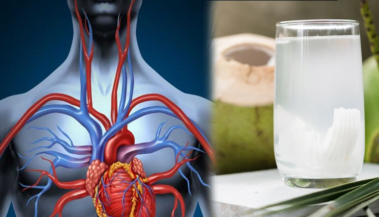 coconut water,coconut water benefits,coconut water health benefits,health benefits,health care tips