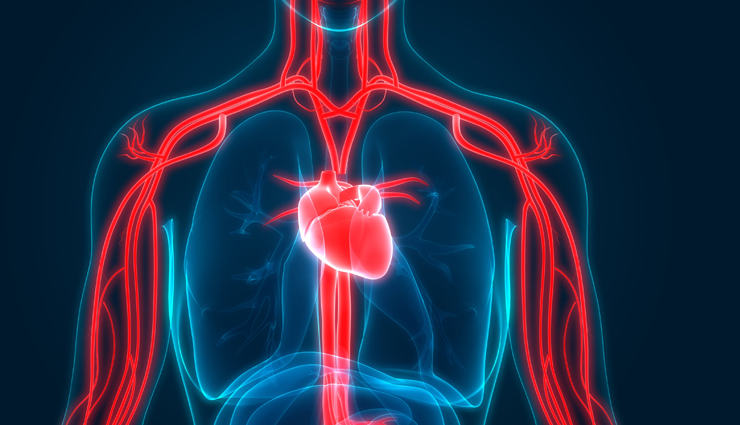health risks of drinking warm water,side effects of consuming warm water continuously,drinking warm water cons,negative impacts on health,risks of excessive warm water intake,harmful effects of warm water throughout the day,consequences of drinking warm water,health hazards from excessive warm water consumption,why warm water may be harmful,excessive warm water and health issues,is warm water harmful in excess?,dangers of drinking warm water continuously,health consequences of warm water overconsumption,overdoing warm water: effects on the body,excessive warm water and its impact on health,the dark side of drinking warm water,risks associated with prolonged warm water consumption,drawbacks of consistent warm water intake,potential adverse effects of warm water on the body,warm water overindulgence: what you should know