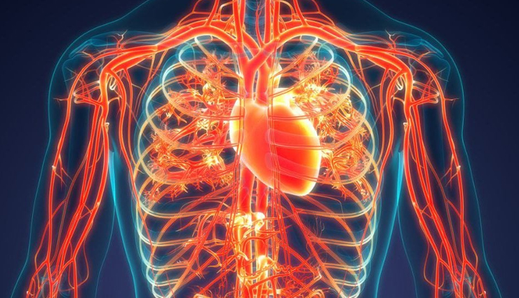 10 Natural Remedies for Thinning Blood: Promoting Healthy Circulation