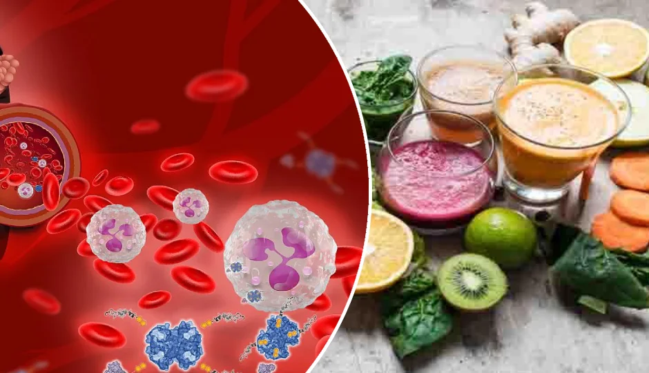 शरीर से टॉक्सिन्स निकालने के लिए डाइट में शामिल करें ये नेचुरल फूड्स — खून को रखेंगे साफ और सेहत को बनाएंगे दुरुस्त