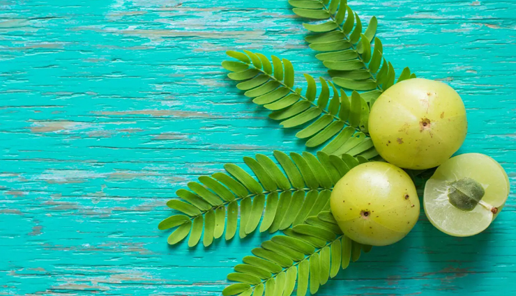 blood pressure under control,herbs for blood pressure under control,Health tips,fitness tips