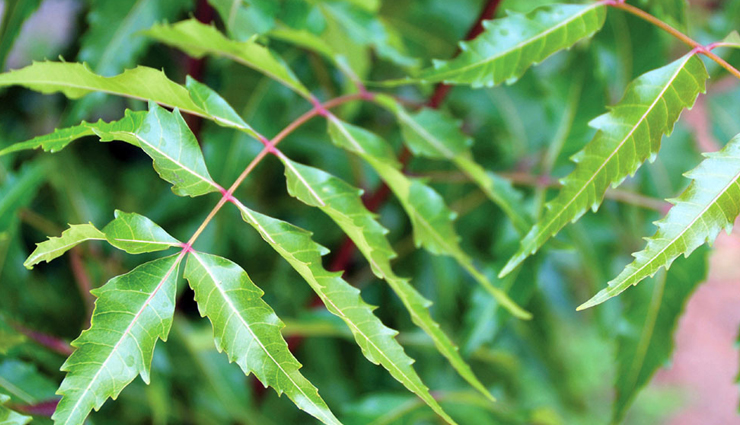 blood sugar,remedies to control blood sugar,Health tips,fitness tips