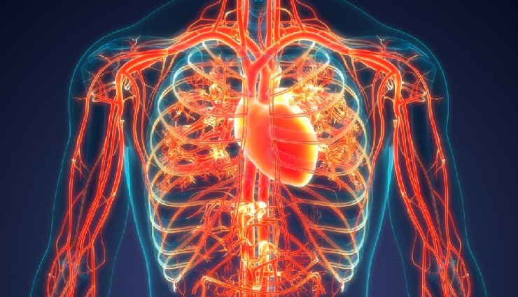 muscle cramps causes,calf muscle cramp,what causes cramps,why do muscles cramp,prevent muscle cramps,muscle spasm triggers,leg cramp reasons,sudden cramps,cramps in inactive people,muscle pain and spasms