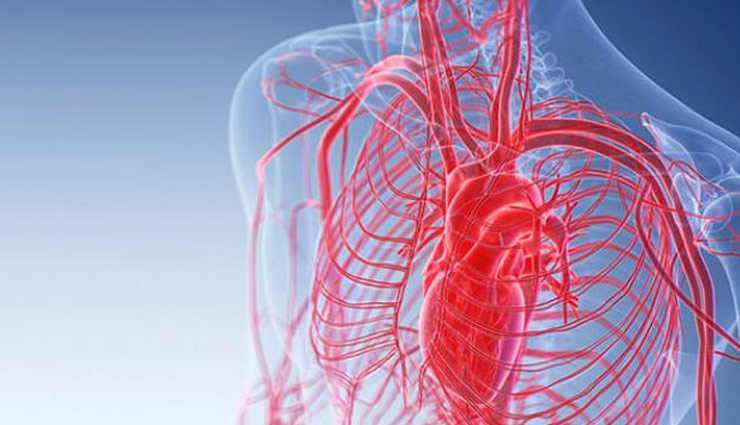 liver,kidney,coronavirus symptoms,sars,mers,coronavirus,coronavirus prevent,corona virus disease,Health