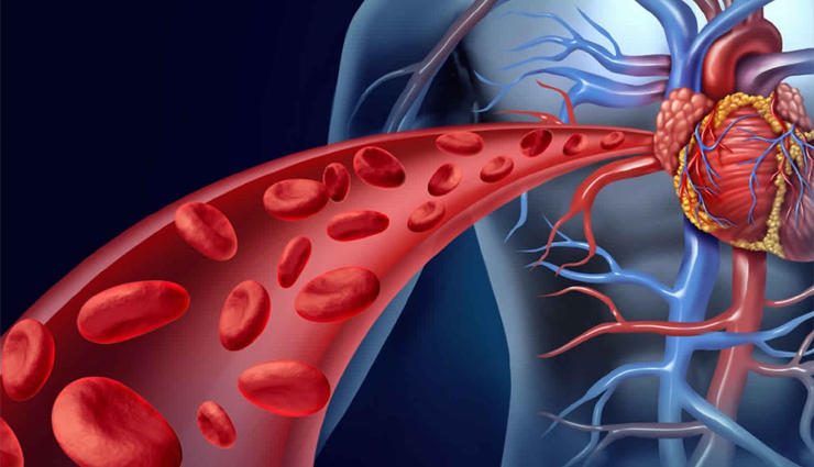 cold water in morning,cold water benefits,cold water health benefits,Health,Health tips