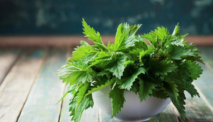 herbs that will help you increase red blood count naturally,Health,healthy living