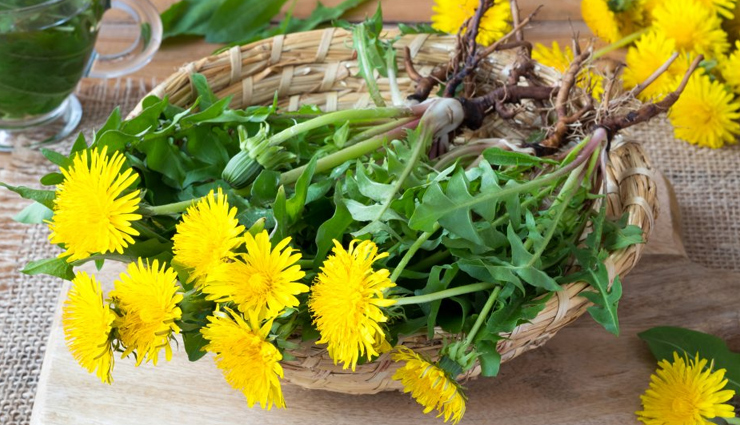 herbs that will help you increase red blood count naturally,Health,healthy living