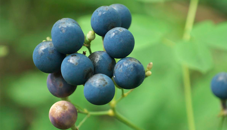 birth control,natural methods for birth control,birth control tips,parenting tips,Health,Health tips