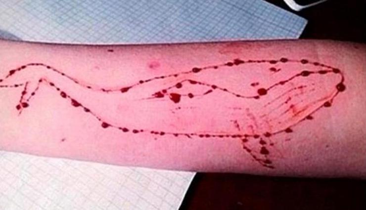 ब्लू व्हेल गेम की सच्चाई का हुआ खुलासा, जाने कैसे खेला जाता था ये गेम 