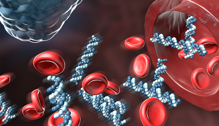 sunflower seeds,health benefits of consuming sunflower seeds,sunflower seeds health benefits,sunflower seeds healthy food,healthy food sunflower seeds,Health,Health tips