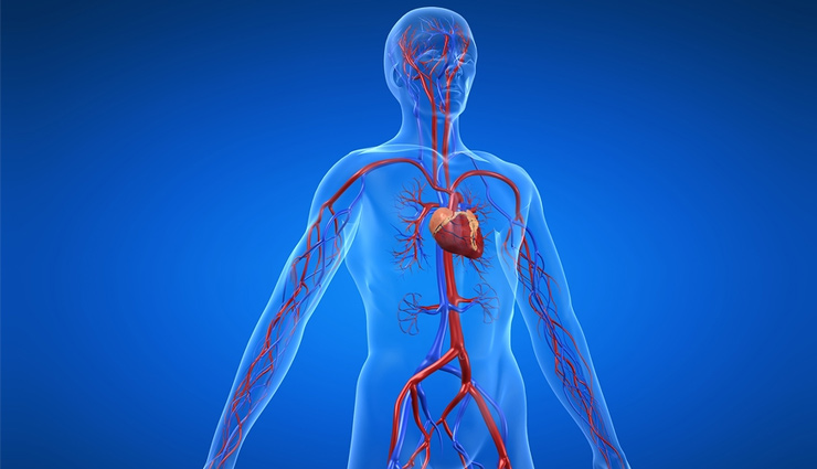 surya mudra health benefits,benefits of practicing surya mudra,surya mudra for boosting metabolism,how to practice surya mudra effectively,balancing energy with surya mudra,surya mudra for improving digestion,controlling cholesterol with surya mudra,increasing energy levels with surya mudra,calming the mind with surya mudra,enhancing focus with surya mudra