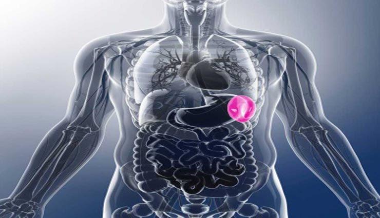 इन 4 चीजों का सेवन मजबूत करेगा बॉडी इम्यून सिस्टम, आहार में करें शामिल