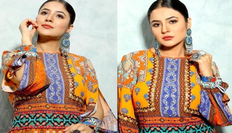 fashion tips,celebrity fashion,shehnaz gill bold photoshoot