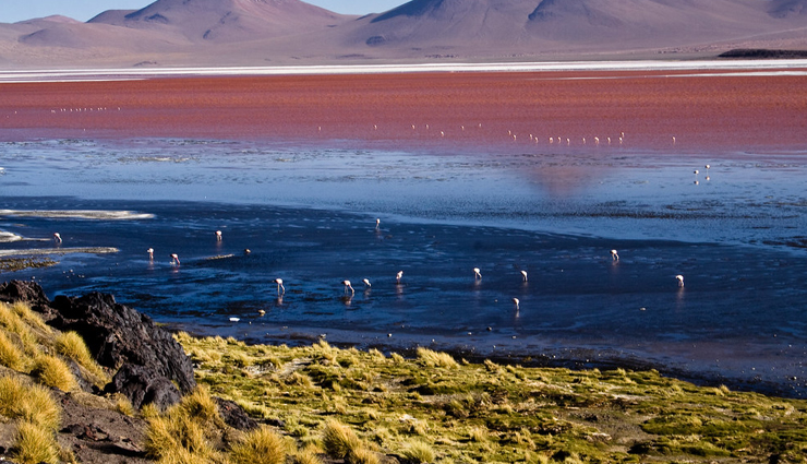 tourist attraction in bolivia,bolivia,salar de uyuni,titicaca lake,reserva eduardo avaroa,santa cruz de la sierra,uyunis national park