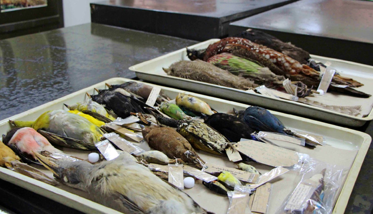 top museums in india,best museums to visit in india,explore indian museums,must-visit museums india,top 5 museums in india,cultural museums in india,historical museums to see in india,indian art and history museums,india most famous museums,museum tours and attractions india,indian heritage museums,museums showcasing india culture,museum exhibits in india,india top museum destinations,art and history exploration in indian museums,indian museum guide,discover indian heritage through museums,unique museums in india,india rich cultural museums,top museum experiences in india