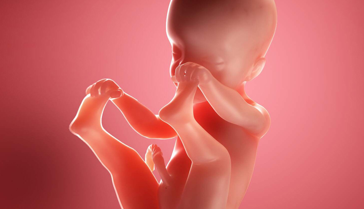 health benefits of olive oil,benefits of olive oil for heart health,anti-inflammatory properties of olive oil,olive oil antioxidants,olive oil for digestion,olive oil for skin health,olive oil weight management,olive oil bone health,olive oil cognitive function,extra virgin olive oil benefits