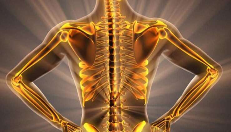 cucumber benefits,benefits of eating cucumbers,health benefits of cucumbers,nutritional benefits of cucumbers,hydration benefits of cucumbers,digestive benefits of cucumbers,weight loss benefits of cucumbers,heart health benefits of cucumbers,immune system benefits of cucumbers,bone health benefits of cucumbers