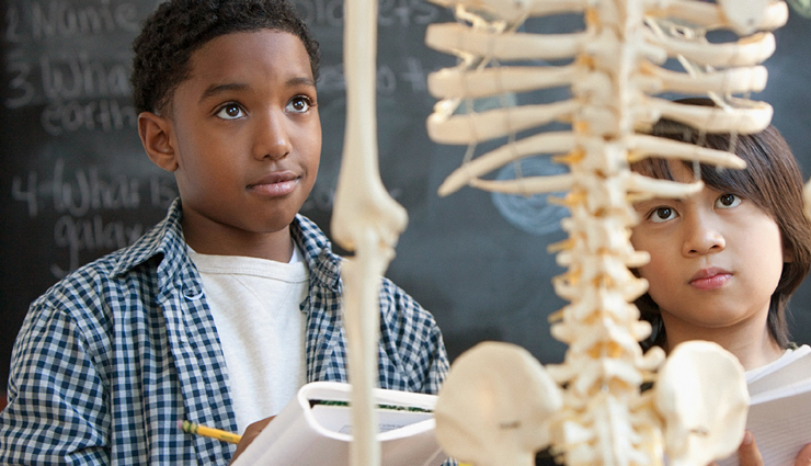 jaggery,jaggery health,jaggery health beanefits,jaggery for kids,health benefit of jaggery for kids,healthy food,Health tips,healthy life