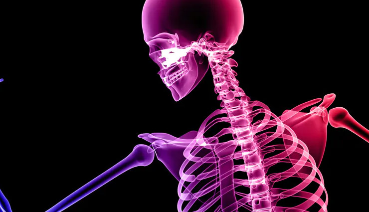 protein,protein can cause cancer,harmful effect of protein,Health,Health tips