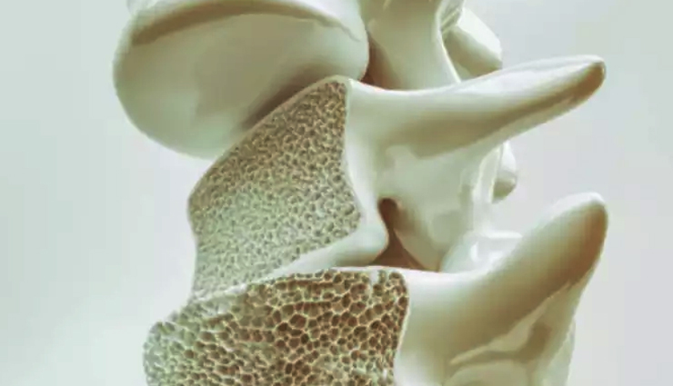 health benefits of eggs,eggs protein,eggs vitamins,eggs heart health,eggs brain health,eggs weight management,eggs eye health,eggs immune system,eggs bone health,eggs skin and hair,eggs muscle health