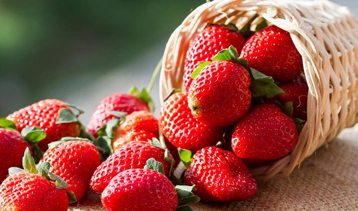 to make your bones strong include these things in your diet,Health,healthy living