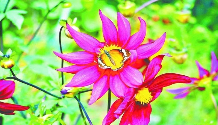 vastu tips in hindi,mistake in vastu,damage in the house